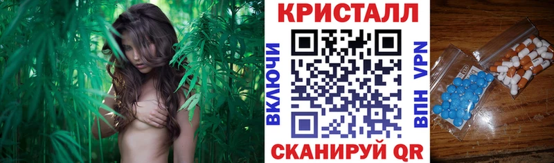 mega как зайти  Кондопога  маркетплейс состав  АМФ VHQ 