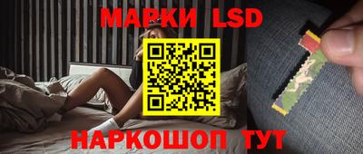 apvp Свободный