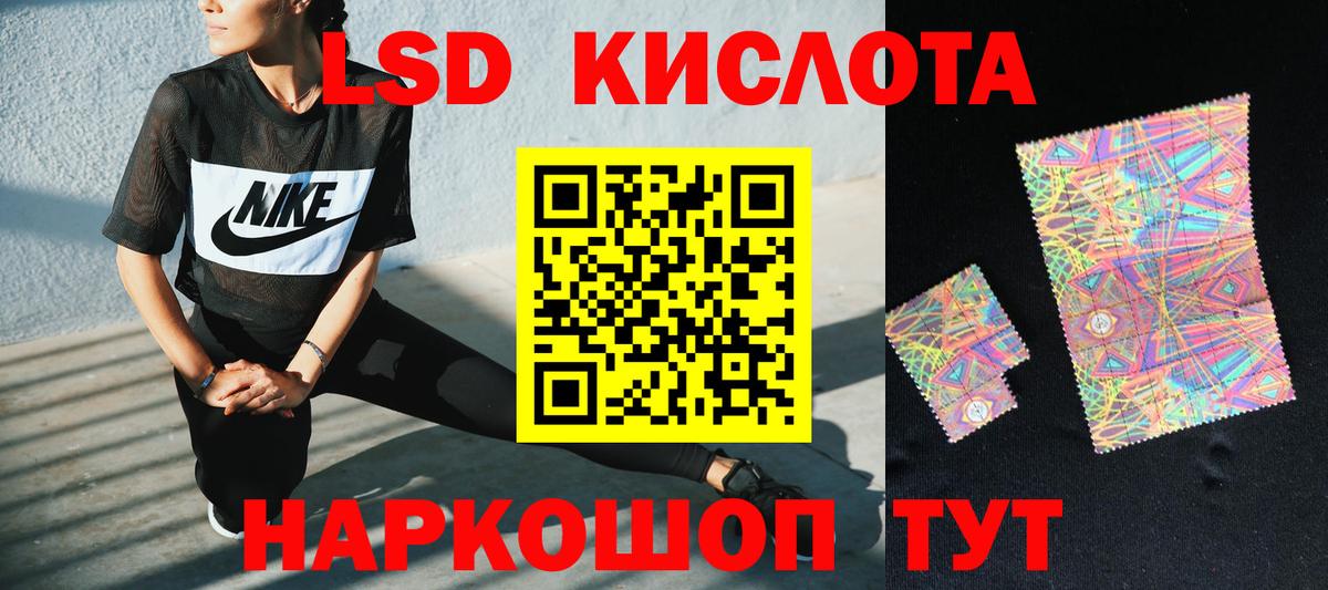 Бошки Шишки Кондопога