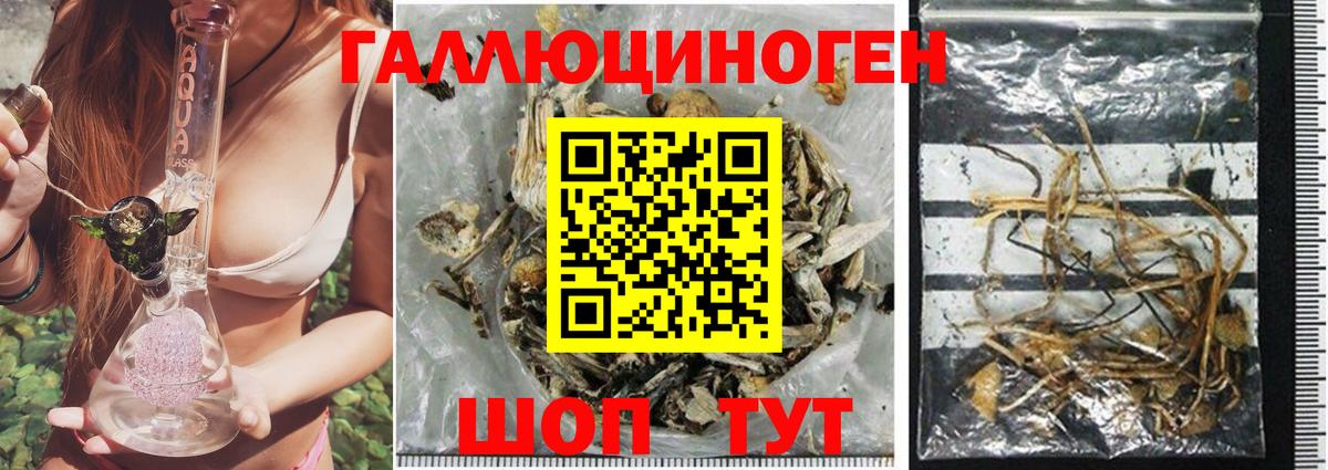 купить наркоту  Вход с VPN  Псилоцибиновые грибы Magic Shrooms  Кондопога  Галлюциногенные грибы прущие грибы 
