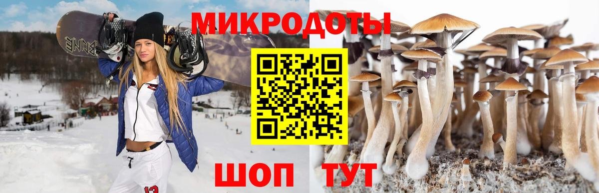 Псилоцибиновые грибы прущие грибы Кондопога